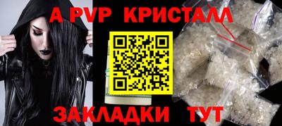 ALPHA PVP Гай