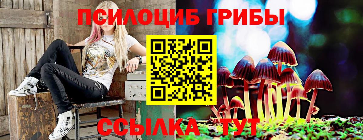 Псилоцибиновые грибы GOLDEN TEACHER  Галлюциногенные грибы GOLDEN TEACHER  Вход с VPN  Муром 
